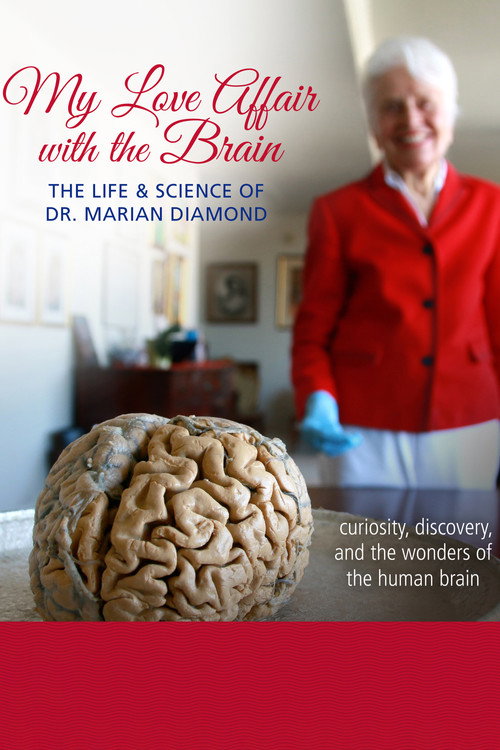 My Love Affair with the Brain poster