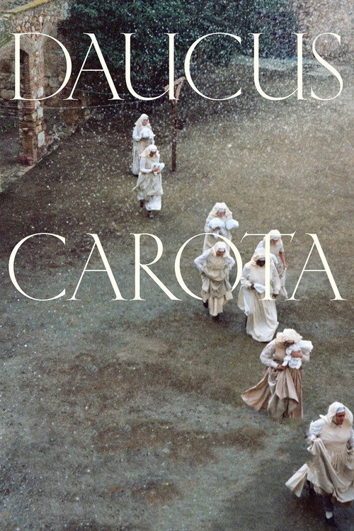 Daucus Carota poster