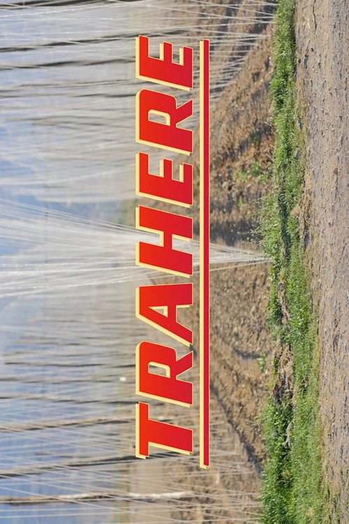 Trahere poster