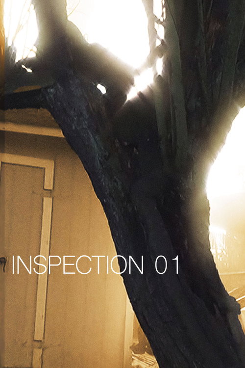 Inspection 01 poster