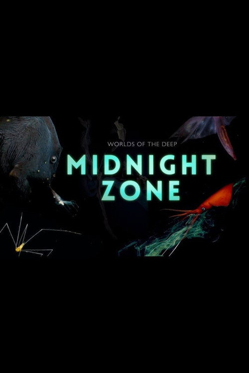 Into the Midnight Zone poster