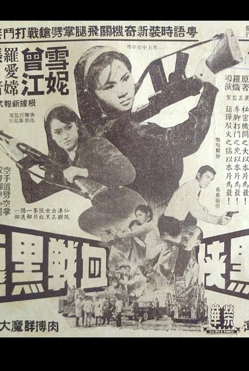 The Woman in Black and the Black Dragon poster