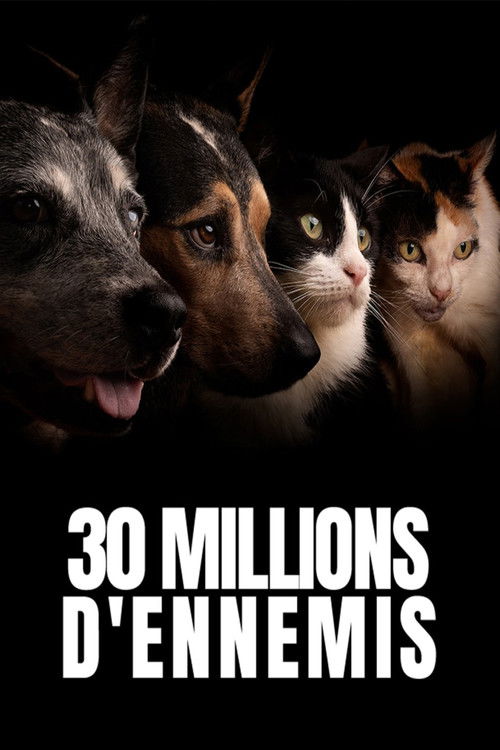 30 millions d'ennemis poster