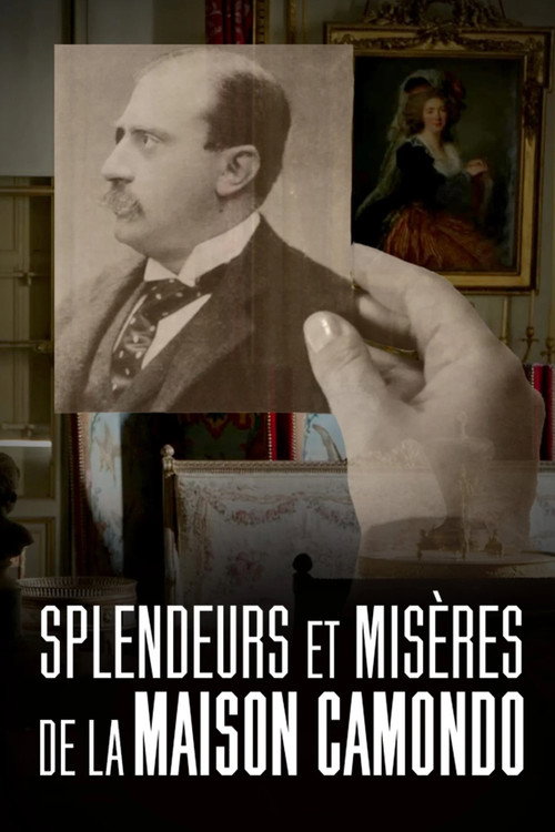 Splendeurs et misères de la maison Camondo poster