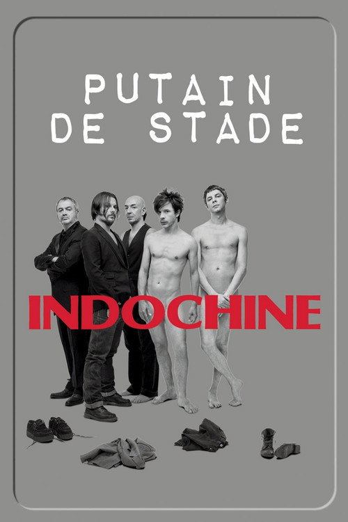 Indochine - Putain de stade poster