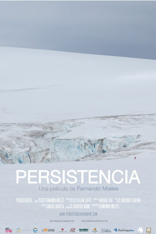 Persistencia poster