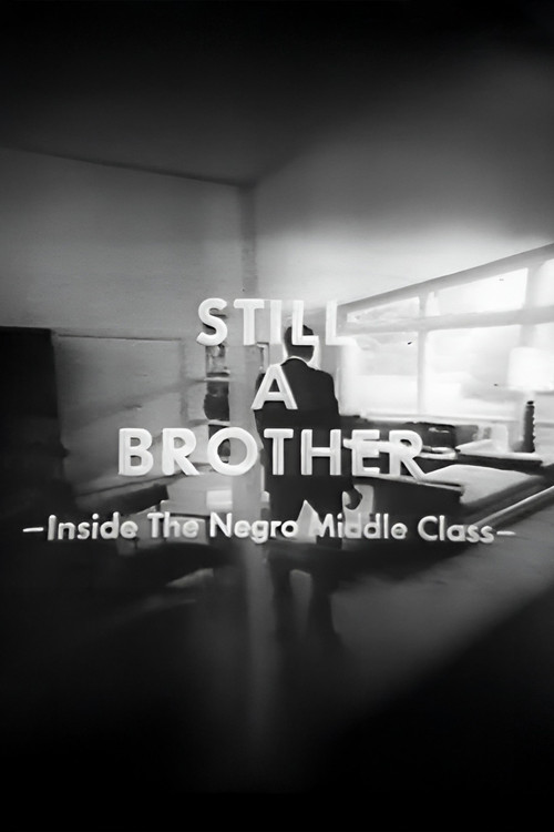 Still A Brother: Inside the Negro Middle Class poster