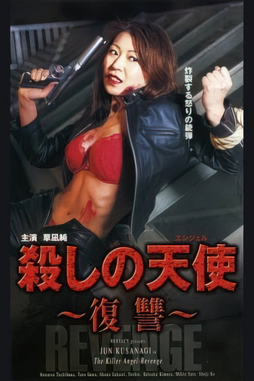The Killer Angel Revenge poster