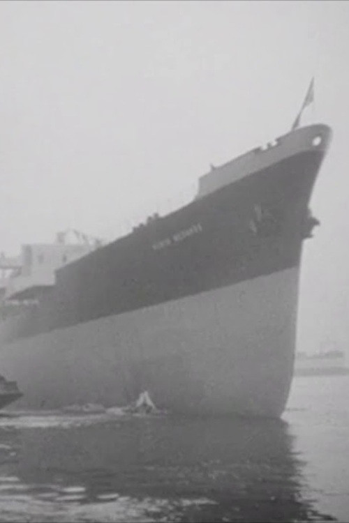The Launch of the Punta Medanos at Wallsend poster