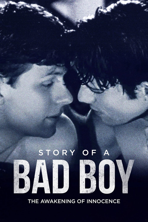 Story of a Bad Boy poster
