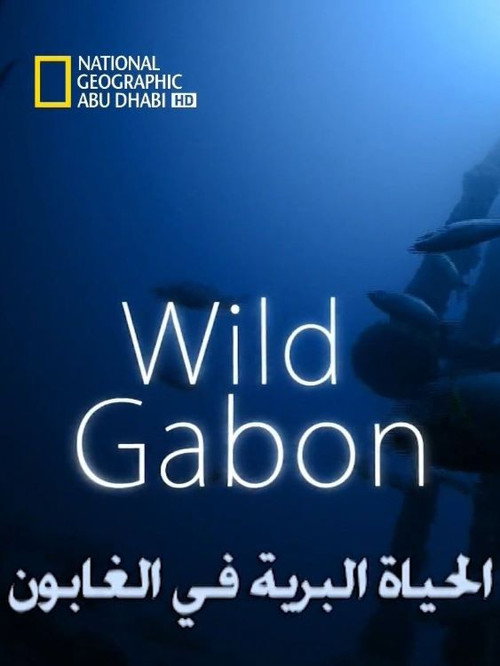 Wild Gabon poster
