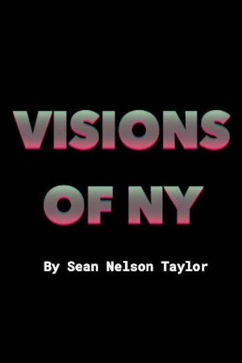 VISIONS_OF_NY poster