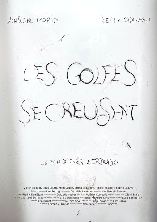 Receding Hairline poster