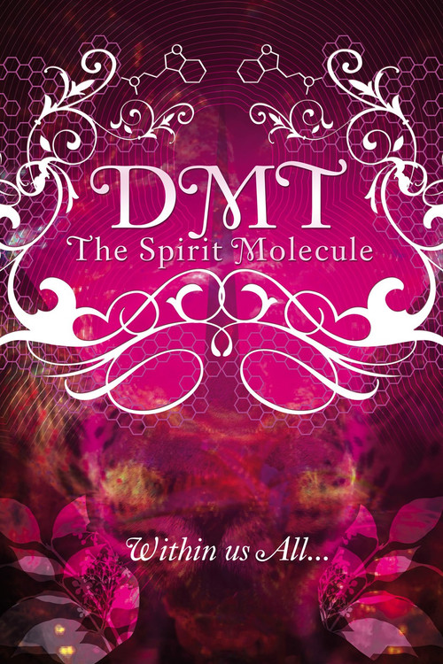 DMT: The Spirit Molecule poster