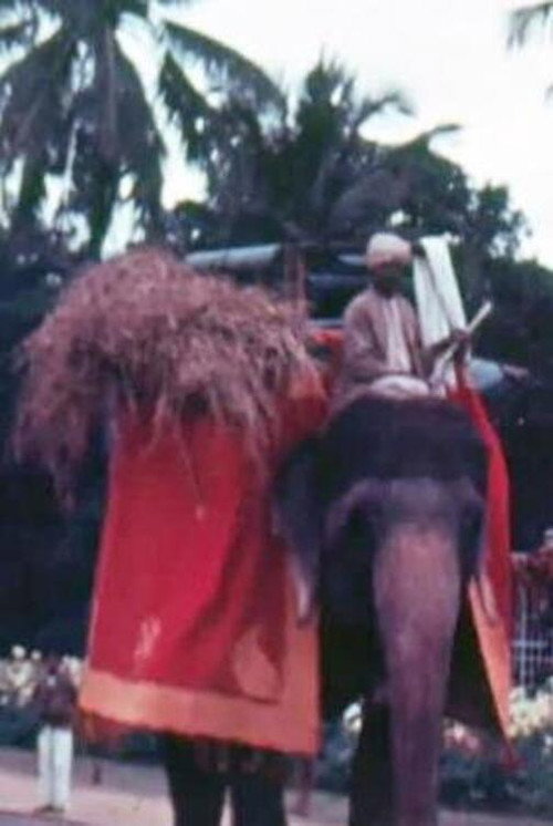 Mysore poster