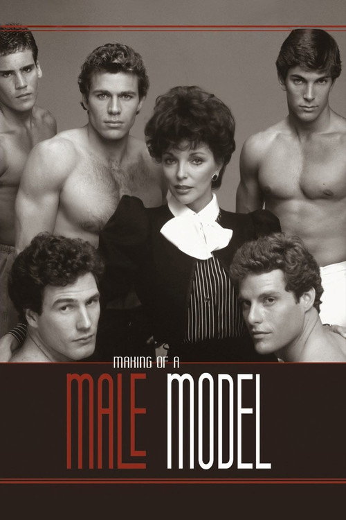 Making of a Male Model poster