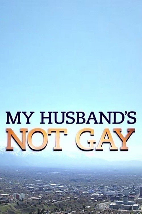 My Husband's Not Gay poster