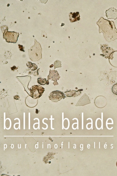 Ballast Stowaways Dinoflagellates poster