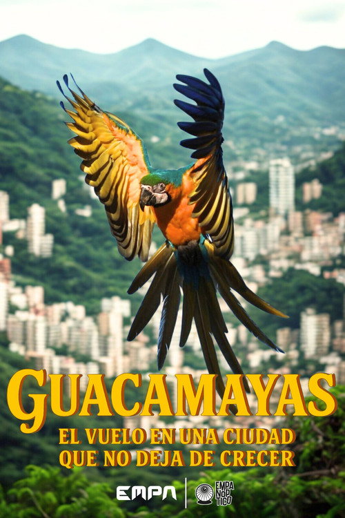 Guacamayas: El vuelo en una ciudad que no deja de crecer poster