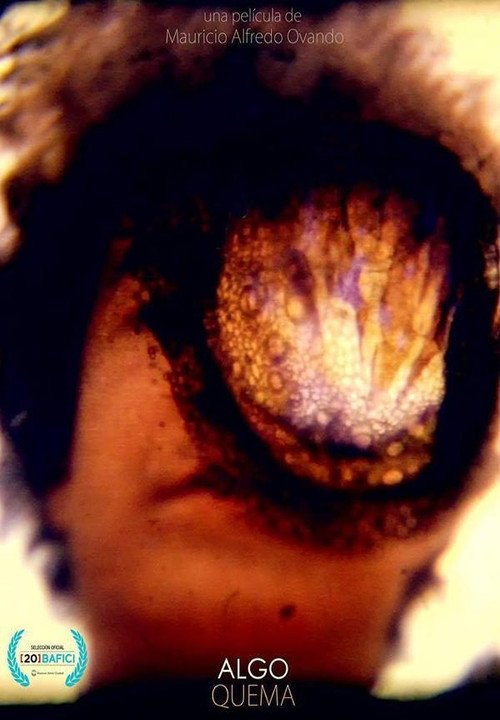 Still Burn poster