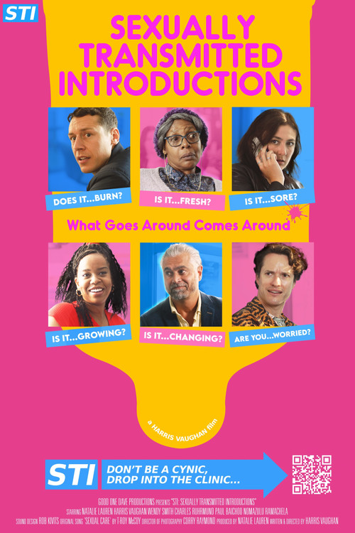 STI: Sexually Transmitted Introductions poster
