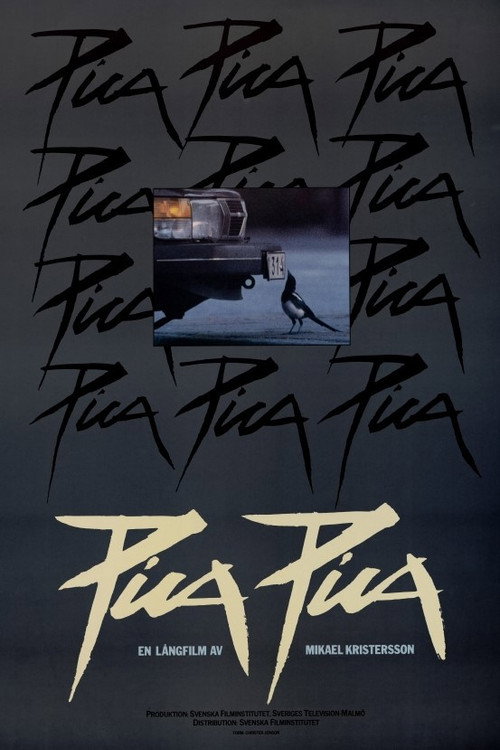 Pica Pica poster