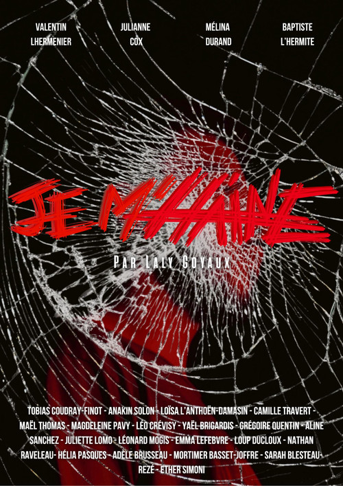 Je m'Haine poster