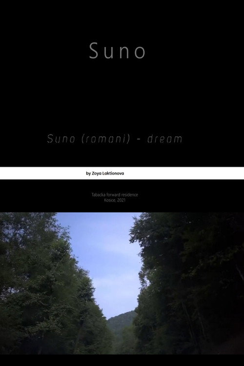 Suno poster