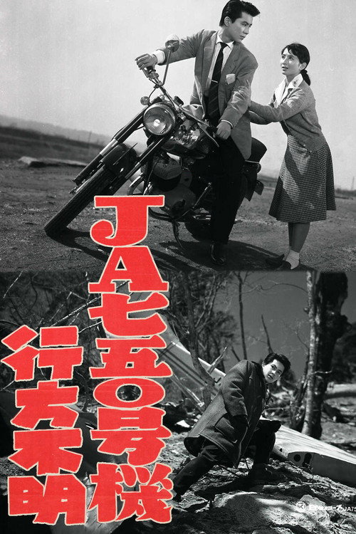 JA750 Gōki Yukuefumei poster