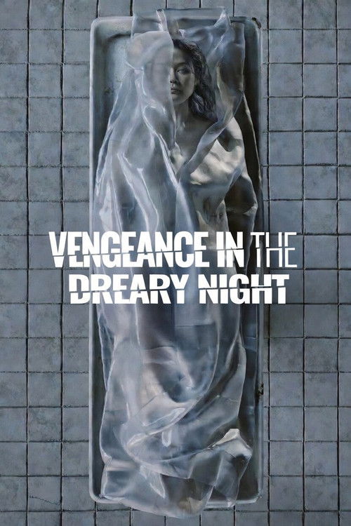Vengeance in the Dreary Night poster