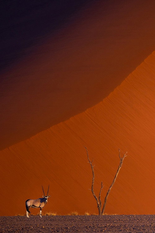 Namibie : exceptionnelle par nature poster