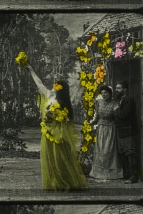 Fantastic Flowers poster