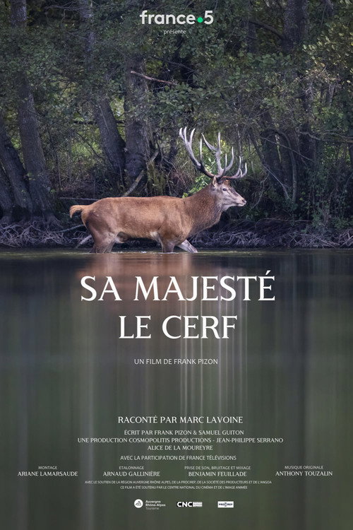 Sa majesté le cerf poster