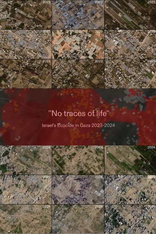 No Traces of Life poster