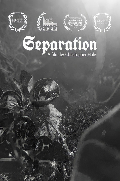 Separation poster