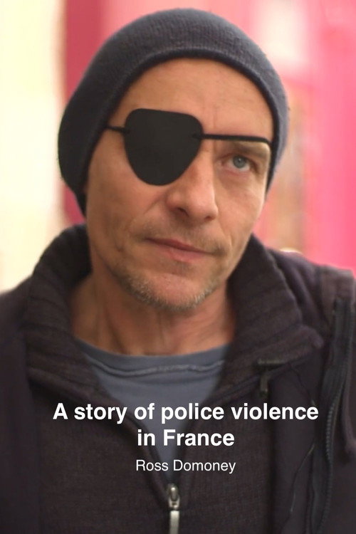 A story of police violence in France poster