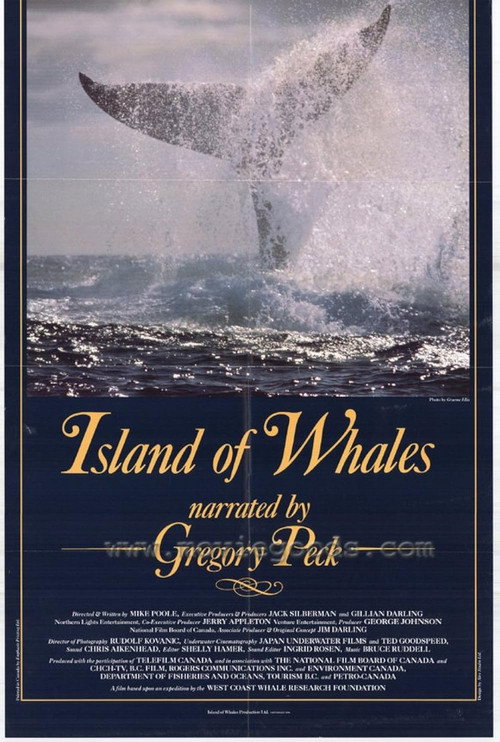 Island of Whales poster
