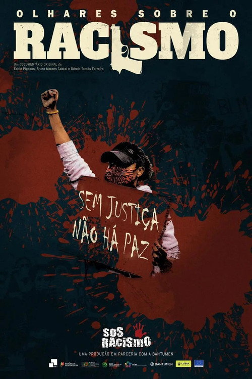 Olhares sobre o racismo poster