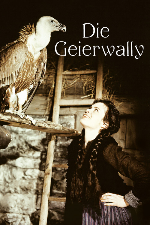 Wally of the Vultures poster