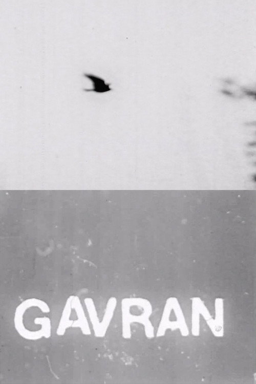 The Raven poster