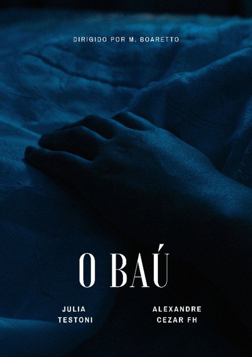 O Baú poster