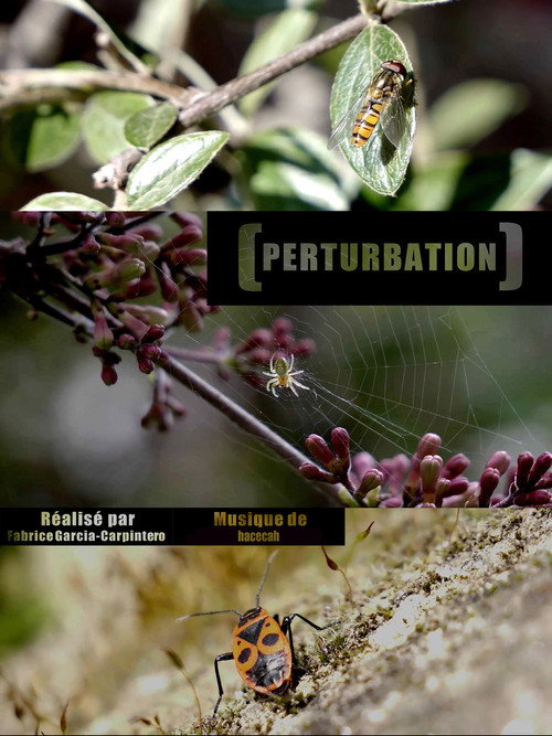 Perturbation poster