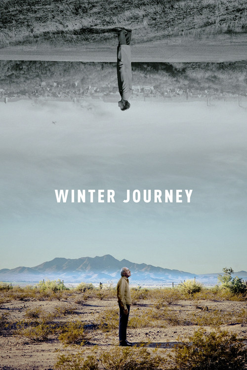 Winter Journey poster