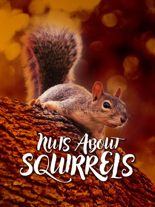 Nuts About Squirrels poster
