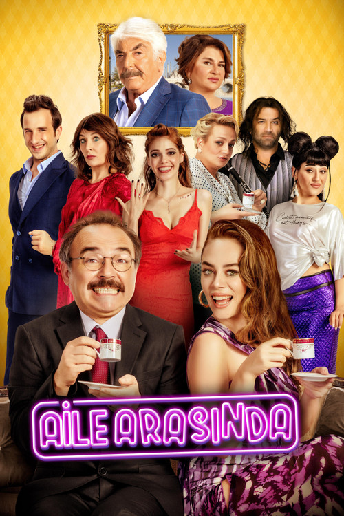 In the Family poster