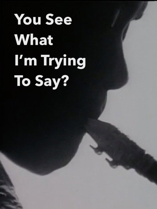 You See What I’m Trying To Say? poster