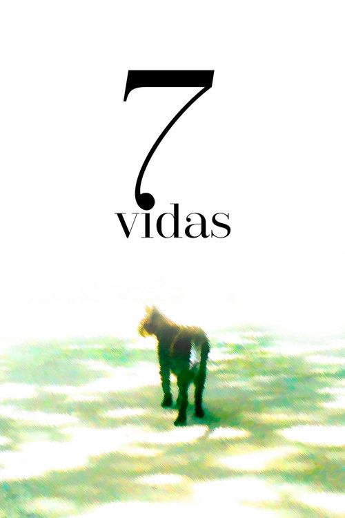 7 Vidas poster