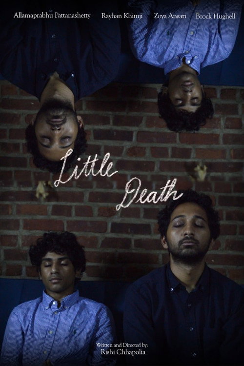 Little Death poster