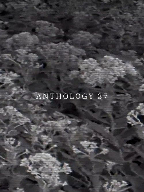 Anthology 37 poster