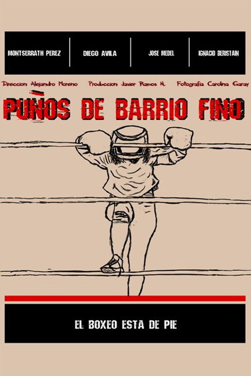Puños de barrio fino poster